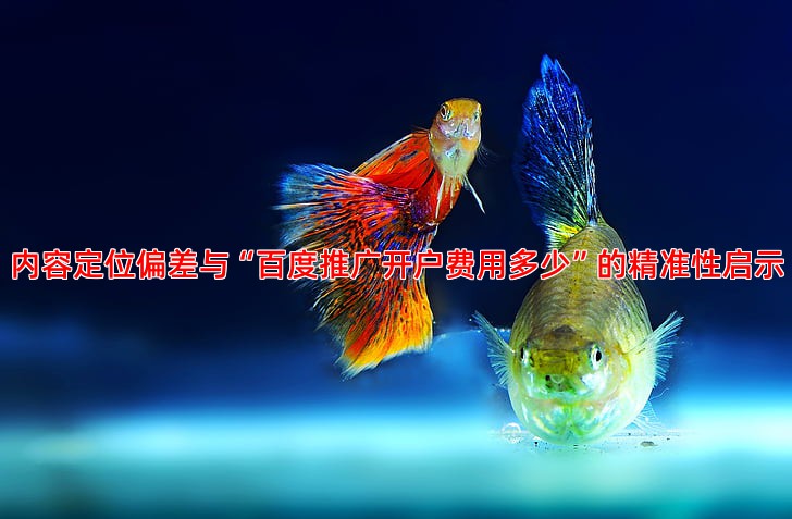 抖音推广效果不佳常见问题与优化方法解析
