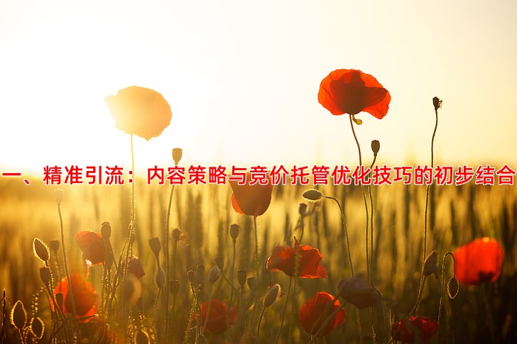如何利用抖音内容实现精准客户引流与转化