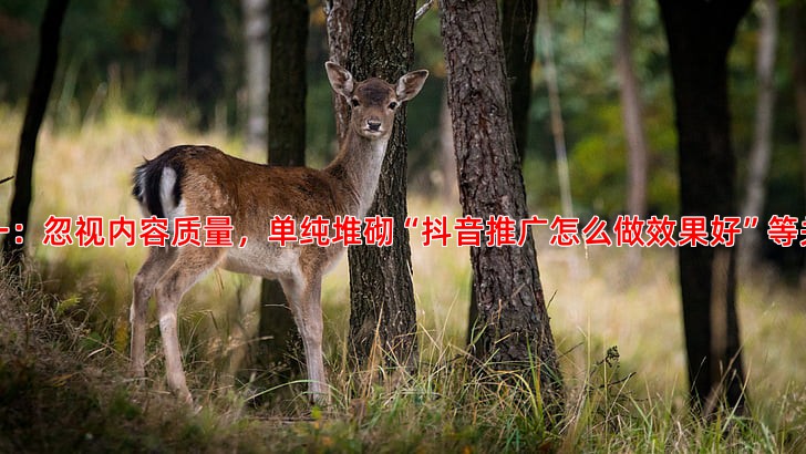 网站SEO优化常见误区有哪些以及如何避免