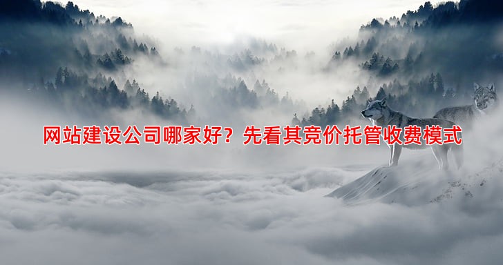 百度竞价托管收费标准详解，不同服务商的价格差异大吗