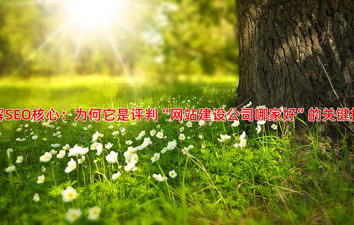 网站SEO优化是什么意思具体包含哪些工作内容
