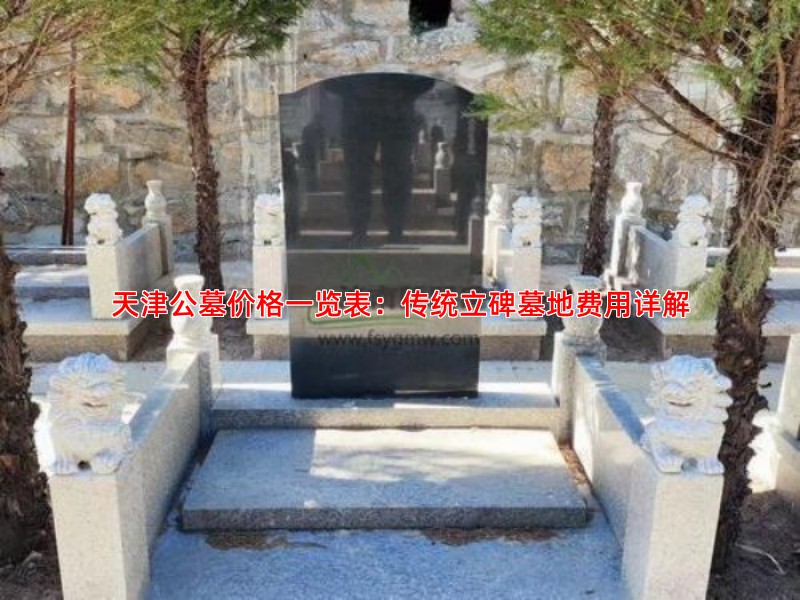 天津公墓价格一览表：传统立碑墓地费用详解