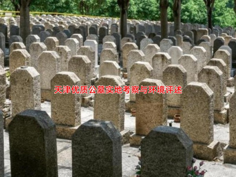 天津优质公墓实地考察与环境评述
