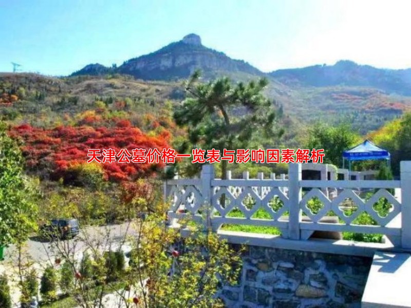 天津公墓价格一览表与影响因素解析