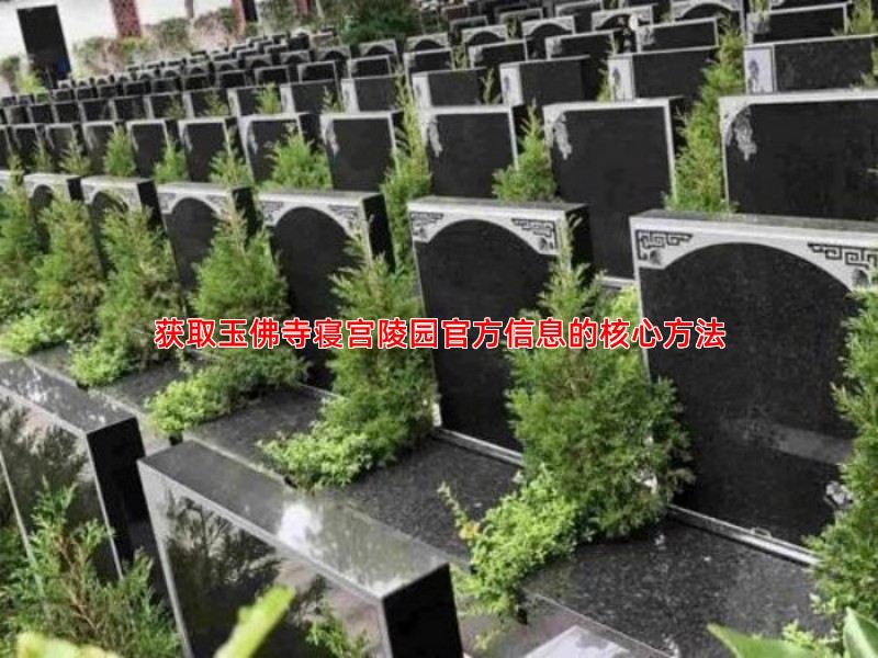 获取玉佛寺寝宫陵园官方信息的核心方法