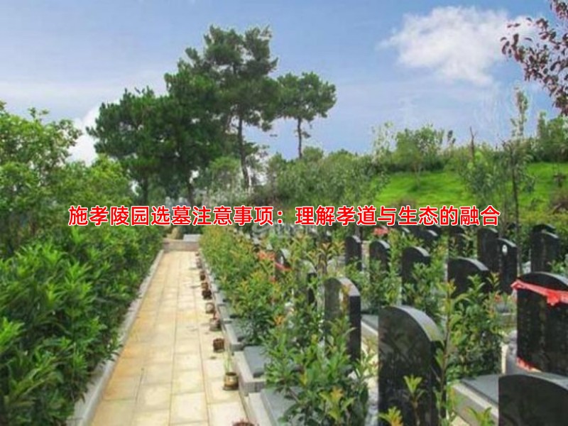 施孝陵园选墓注意事项：理解孝道与生态的融合