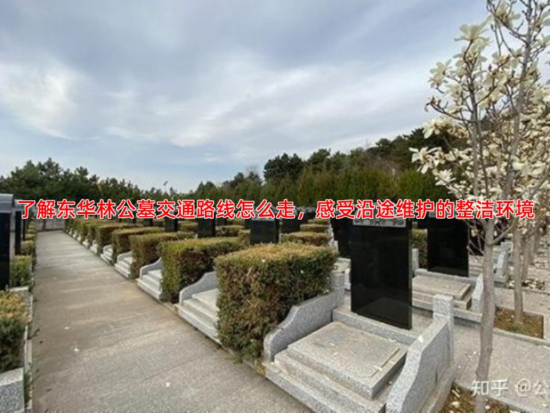 了解东华林公墓交通路线怎么走，感受沿途维护的整洁环境