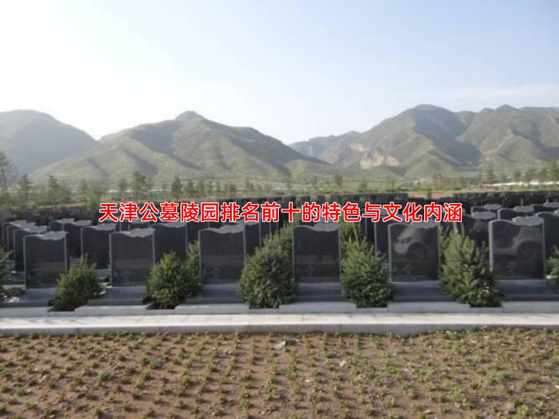 天津公墓陵园排名前十的特色与文化内涵