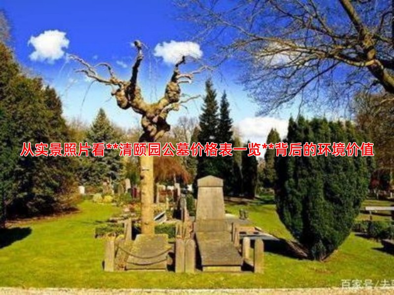 从实景照片看**清颐园公墓价格表一览**背后的环境价值