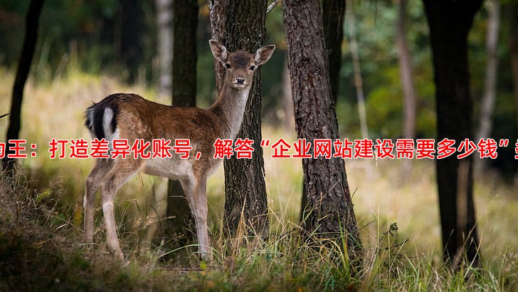 家居建材行业做抖音推广有哪些可行方案