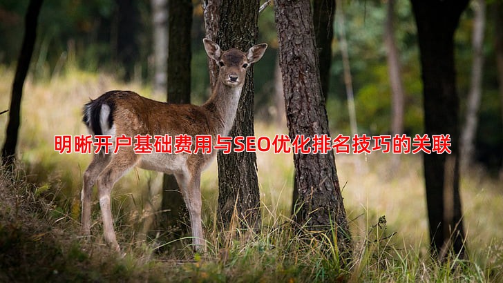 明晰开户基础费用与SEO优化排名技巧的关联
