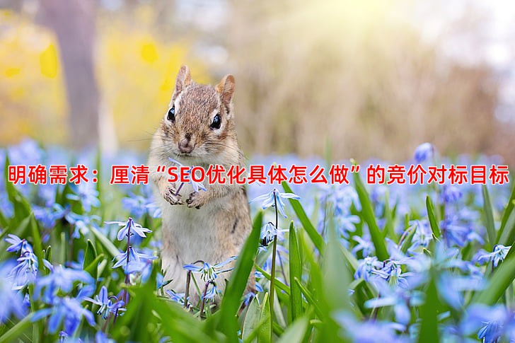 中小企业如何找到性价比高的竞价托管服务商