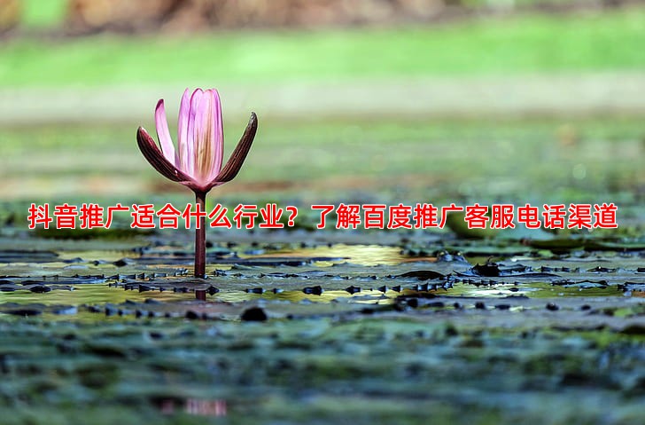 如何联系百度推广客服？电话与在线支持指南