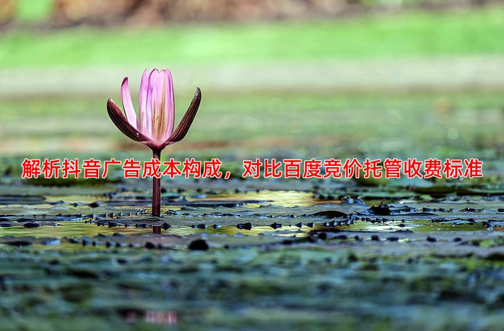 抖音广告投放成本解析怎样推广更划算