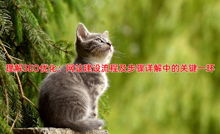 SEO优化是什么意思为什么每个网站都需要重视它