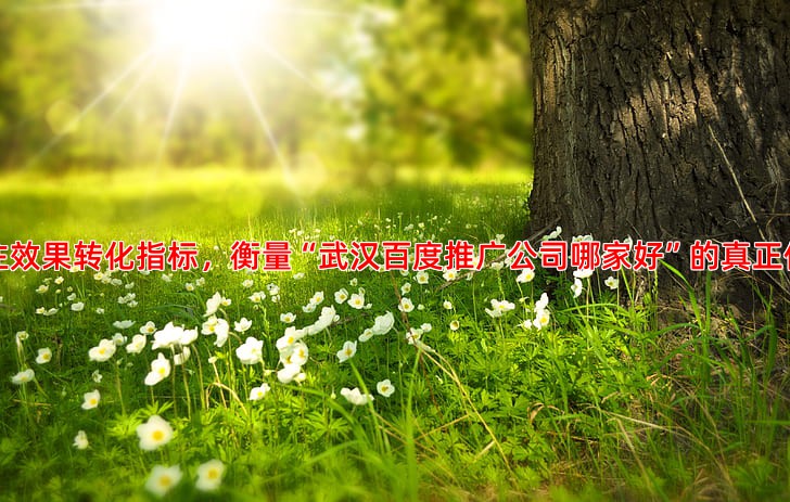 百度推广数据分析武汉优化师应关注哪些核心指标