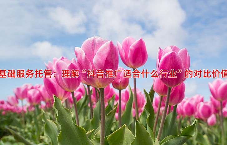 百度竞价托管费用详解：从基础服务到优化托管的不同价位