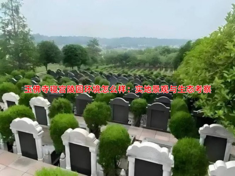 玉佛寺寝宫陵园环境怎么样：实地景观与生态考察