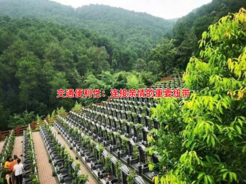 交通便利性：连接亲情的重要纽带