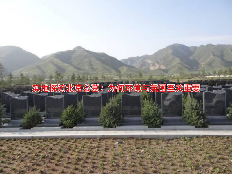 实地探访北京公墓：为何环境与氛围至关重要