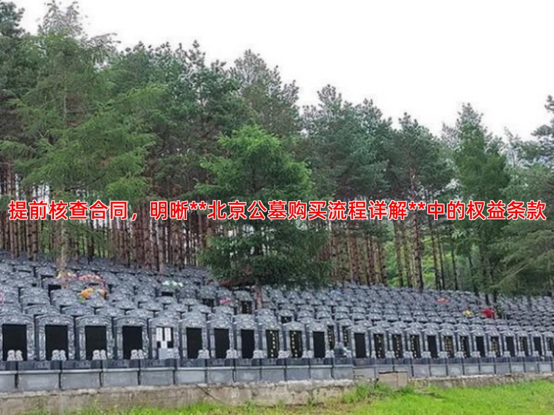 提前核查合同，明晰**北京公墓购买流程详解**中的权益条款