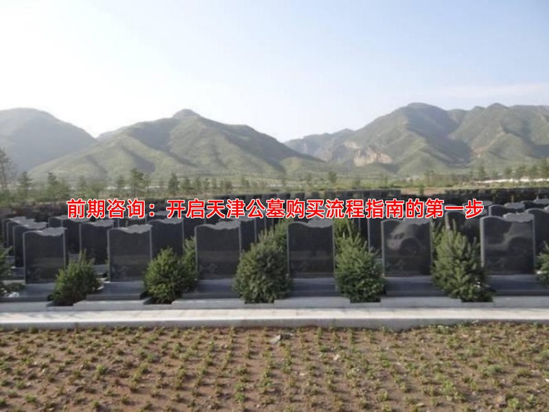 前期咨询：开启天津公墓购买流程指南的******步