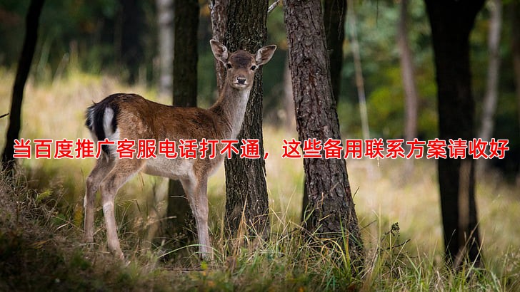 百度推广客服电话打不通怎么办？备用联系方案介绍