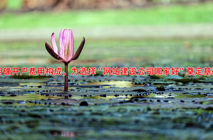 百度推广开户费用与效果分析怎样花钱更有效