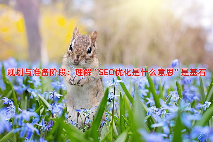 网站建设需要哪些步骤从零开始详细解析