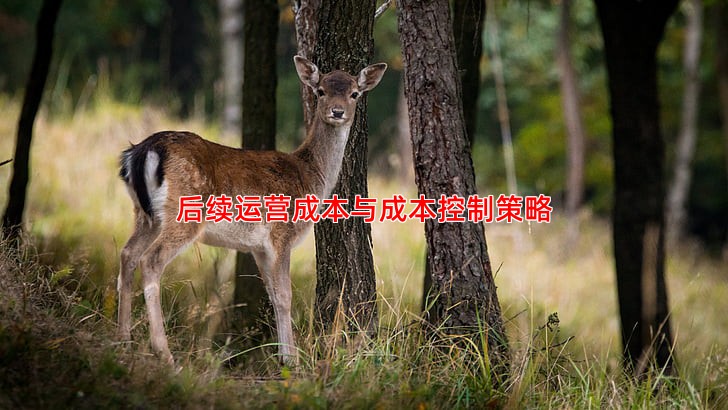 后续运营成本与成本控制策略