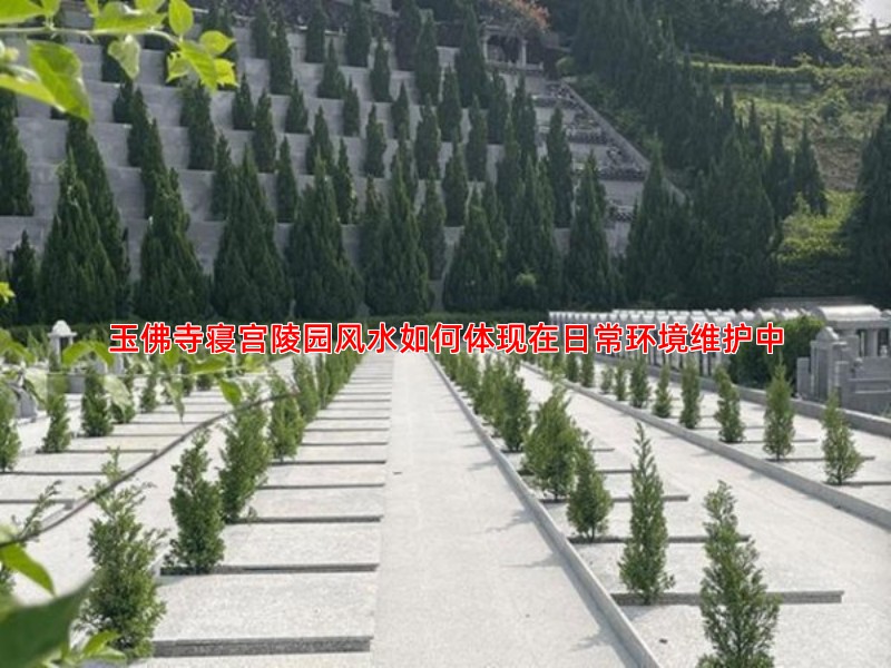 玉佛寺寝宫陵园风水如何体现在日常环境维护中
