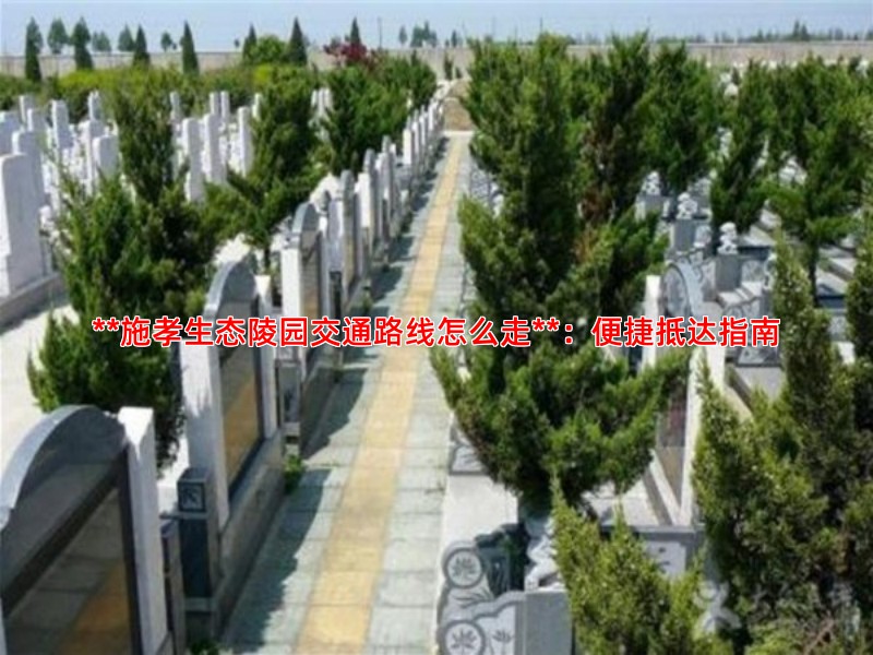 **施孝生态陵园交通路线怎么走**：便捷抵达指南