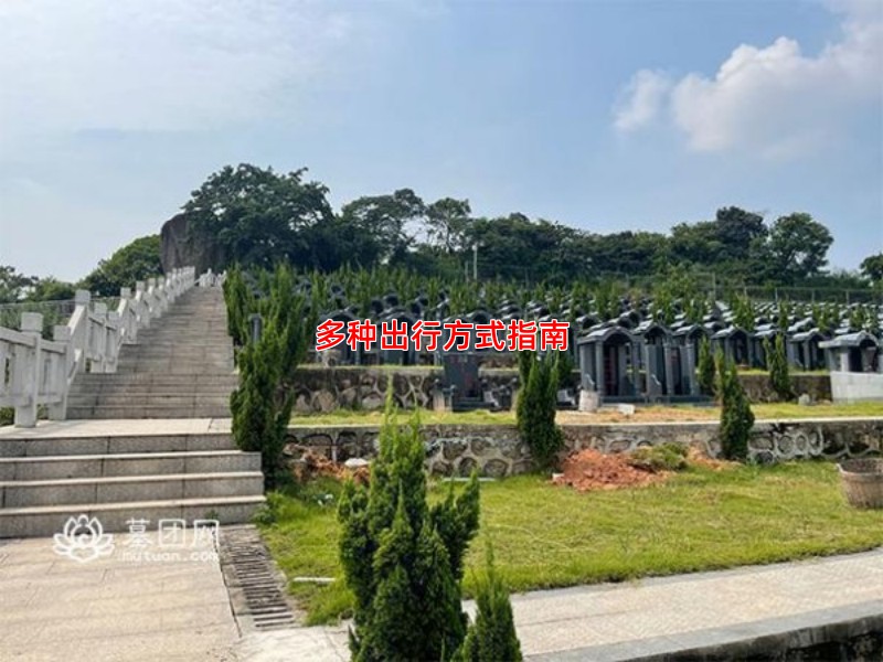 多种出行方式指南