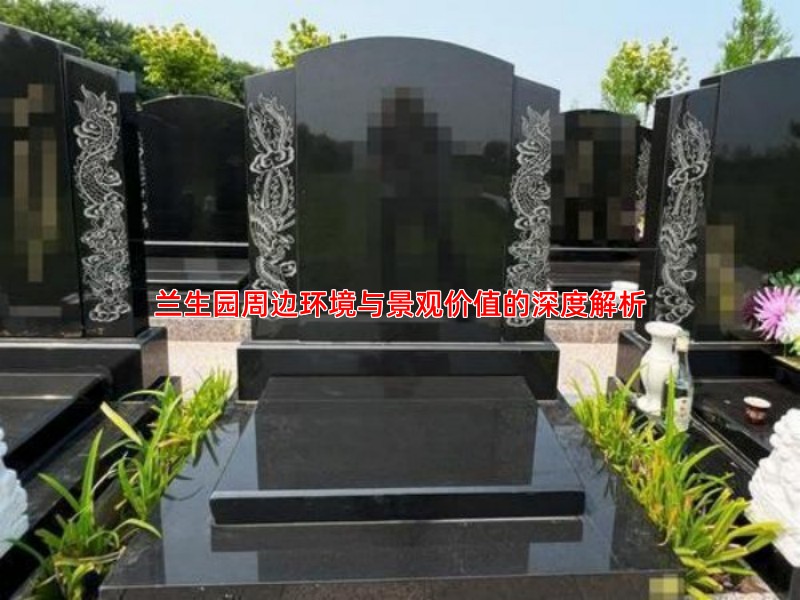 兰生园周边环境与景观价值的深度解析