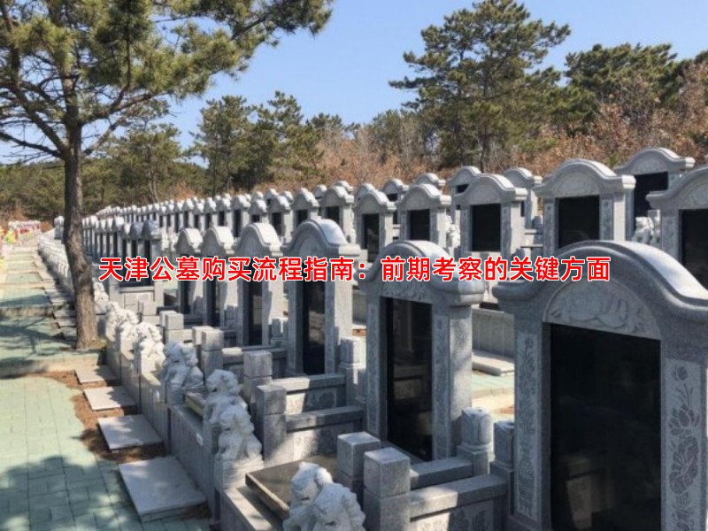 天津公墓购买流程指南：前期考察的关键方面
