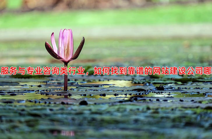 本地服务与专业咨询类行业，如何找到靠谱的网站建设公司哪家好