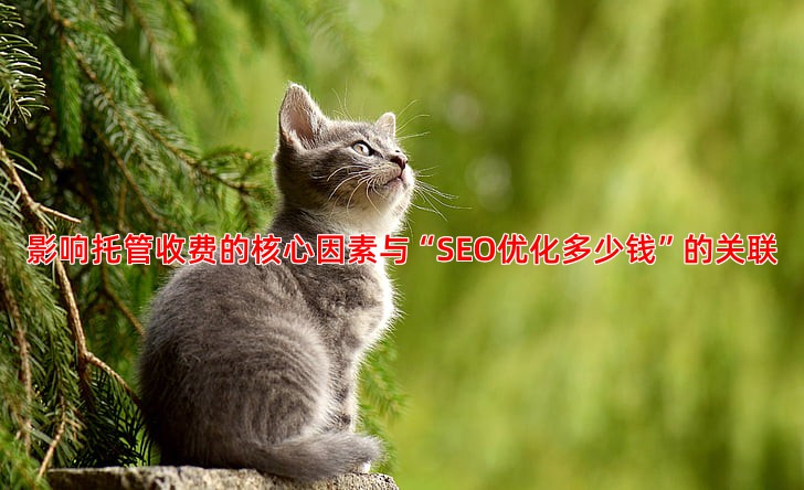 影响百度竞价托管收费的因素有哪些？企业预算规划参考