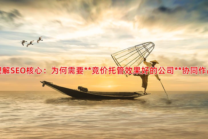 SEO优化是什么意思揭秘搜索引擎排名背后的逻辑
