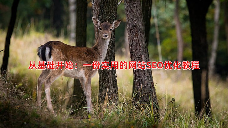 解读SEO优化是什么意思掌握网站流量获取的关键