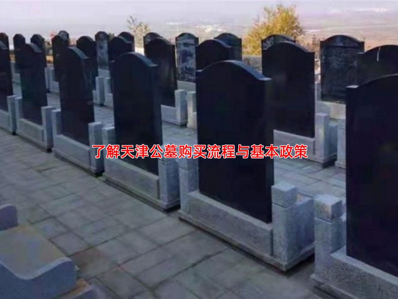 了解天津公墓购买流程与基本政策