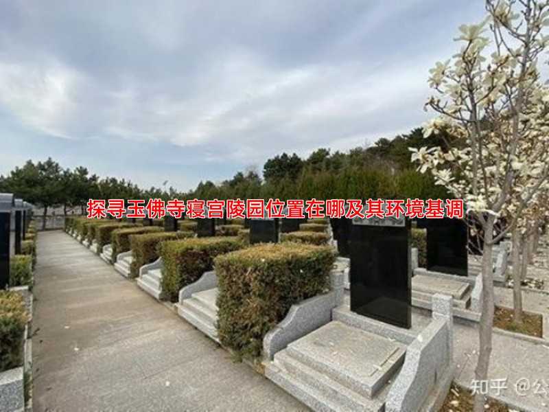探寻玉佛寺寝宫陵园位置在哪及其环境基调