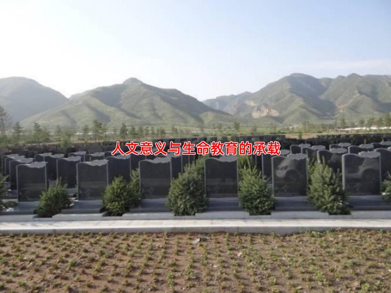 人文意义与生命教育的承载