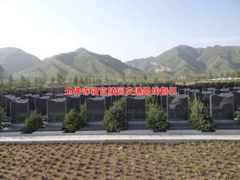 玉佛寺寝宫陵园交通路线指引