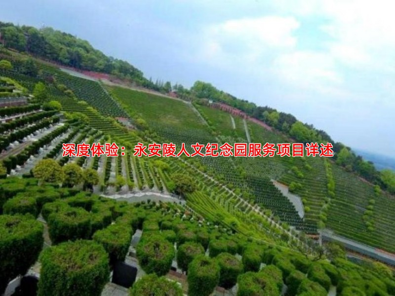 深度体验：永安陵人文纪念园服务项目详述