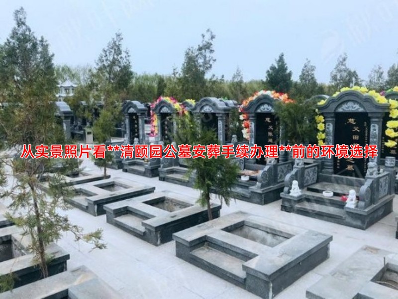 从实景照片看**清颐园公墓安葬手续办理**前的环境选择