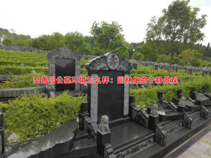 至善园公墓环境怎么样：园林化的宁静景观