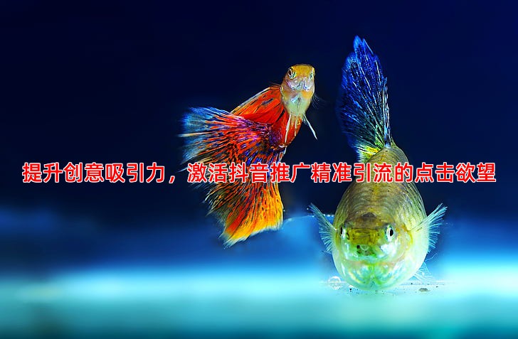 提升创意吸引力，激活抖音推广精准引流的点击欲望