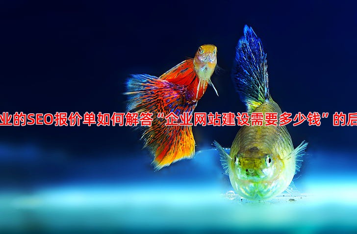 SEO优化服务报价单包含哪些内容，如何评估是否值得投入