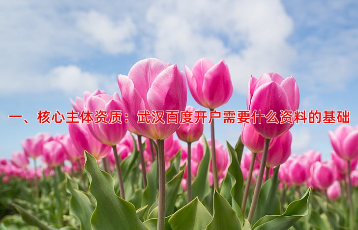 一、核心主体资质：武汉百度开户需要什么资料的基础