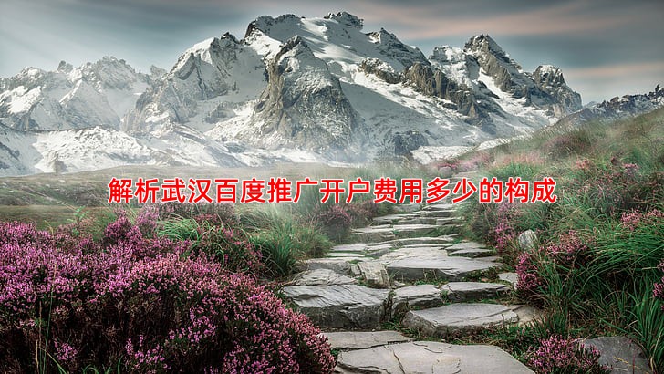 武汉百度推广开户费及后续投入成本分析